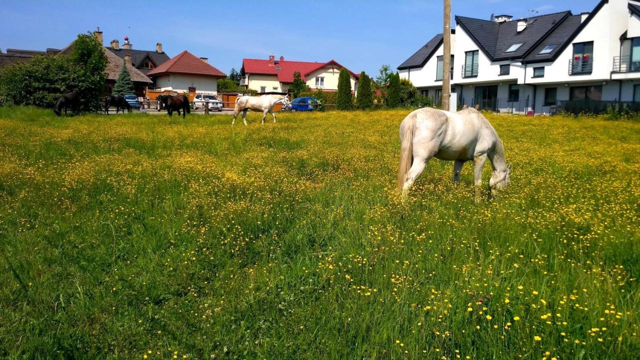 Kwatery Prywatne Lotnicza Bielsko-Biała Exterior foto